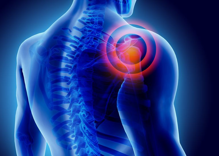 عکس پزشکی   عکس دکتر   تصویر پزشکیلیست متخصصین ارتوپدی اصفهان،متخصص ارتوپدی در اصفهان